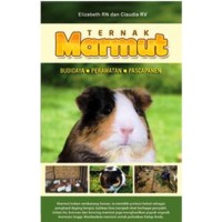 Ternak Marmut